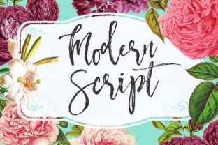 Download Modern Script - Modern script Collection