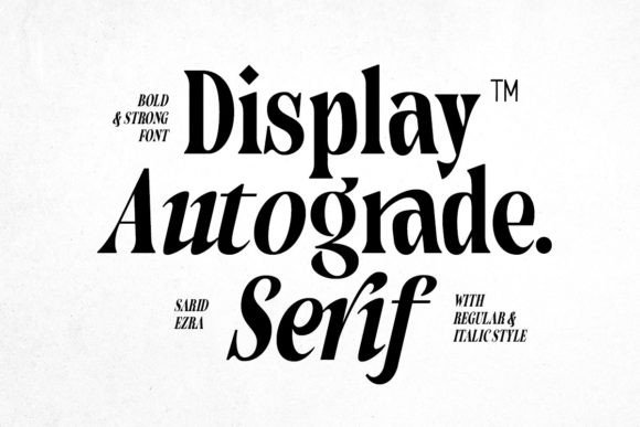 Download Autograde - Strong Bold Serif - Bold Collection